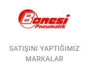 ĞİŞ